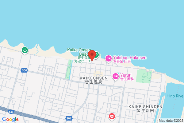 Business Hotel Kaike Onsen