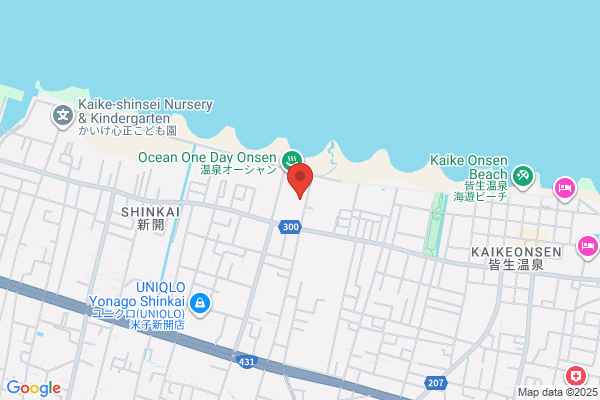 Business Hotel Ocean