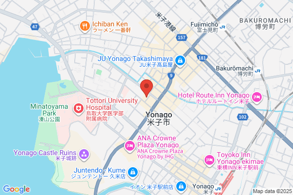 Yonago New Urban Hotel