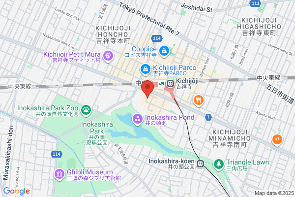 Fujita Orthopedic Surgery