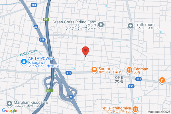 Goto Denki