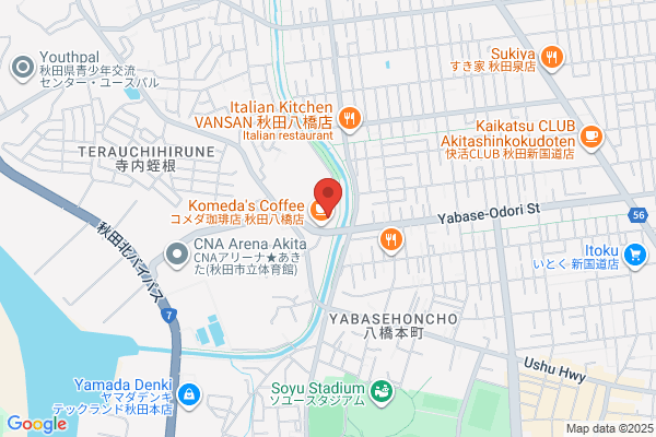ゲオスーパーブックス八橋店