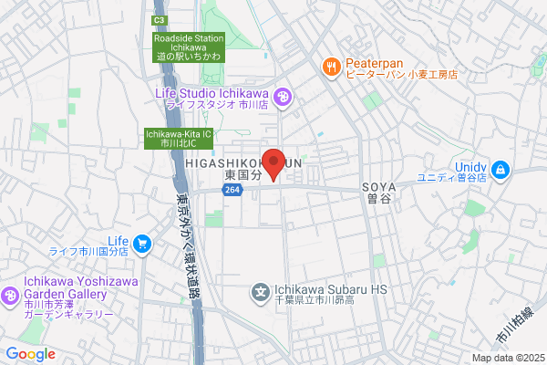ウエルシア薬局市川東国分店 (調剤薬局)