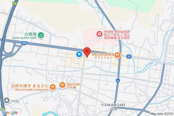 ゲオ一関インター店