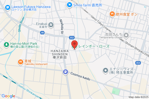 レインボーローズ38