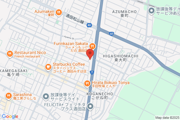 ゲオ酒田バイパス店