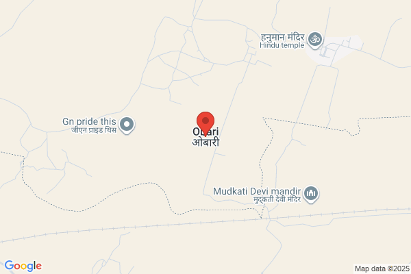 B&Dドラッグストア フィールネットワーク店