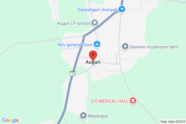 Auguri