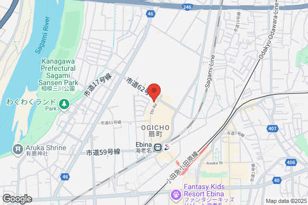 The C ebina