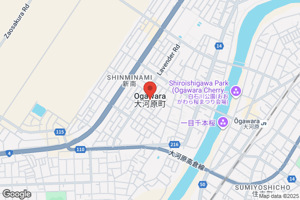 ゲオアクロスプラザ高陽店