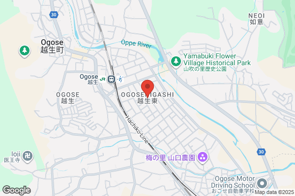 ウエルシア毛呂山平山店 (調剤薬局)