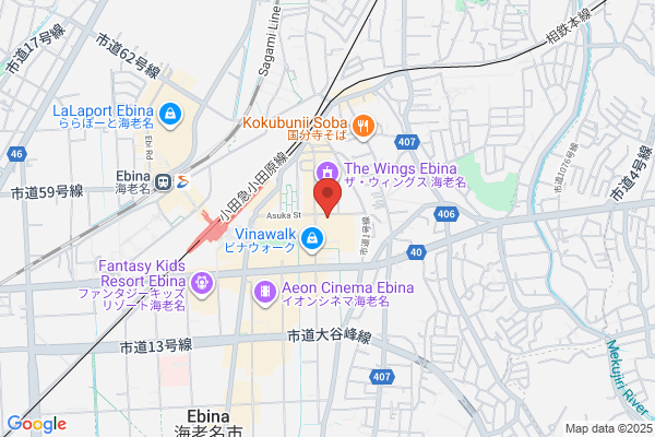 The C ebina
