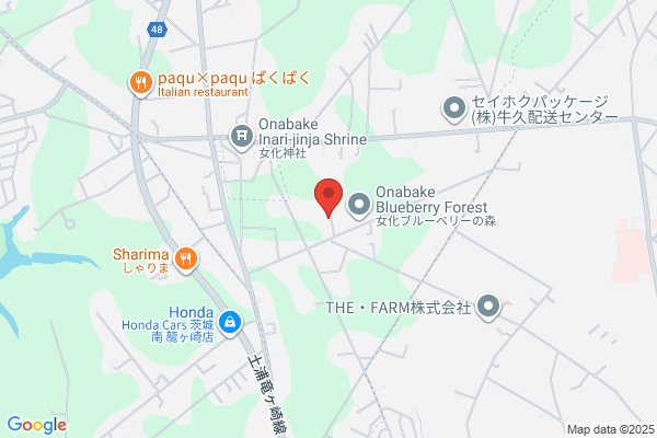ゲオ牛久中央店