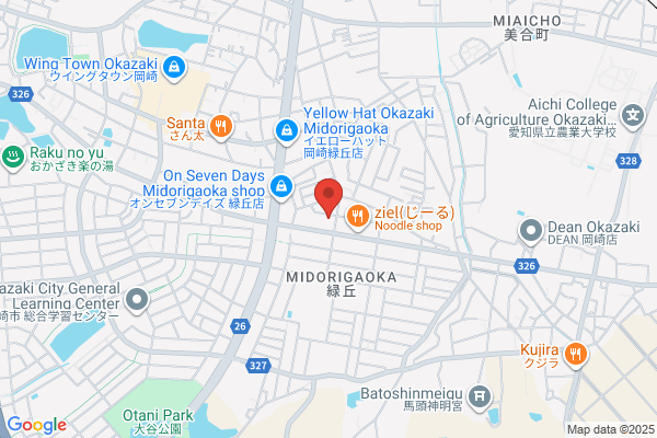 ゲオ岡崎緑丘店