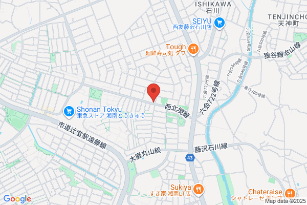 Private Salon Loose Nail