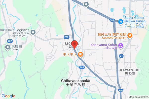 ENEOSウイング セルフ高橋SS