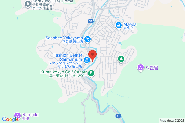ゲオ呉焼山店