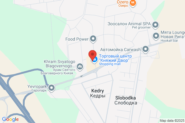 アルファ歯科