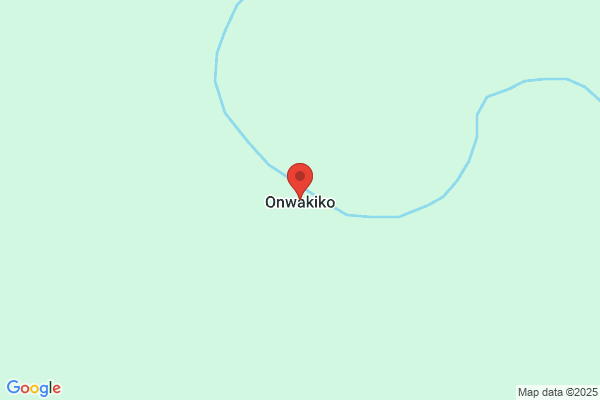 いぬと肴