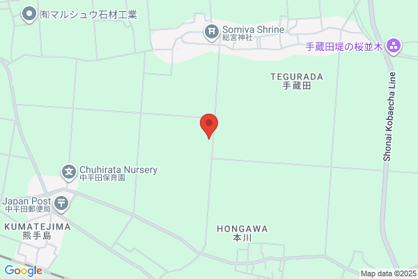 東進衛星予備校 札幌平岡校