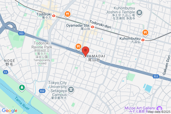 PUDOステーション　BIG-A柏中央店