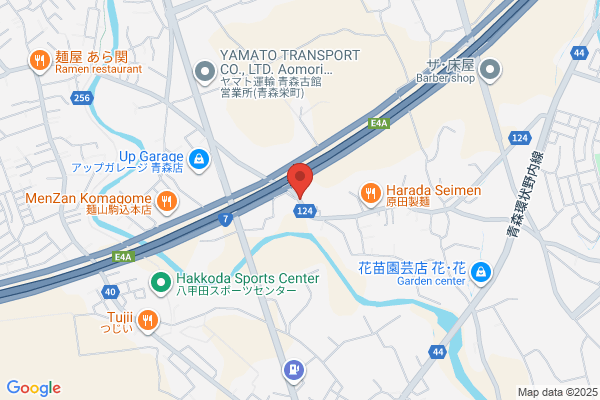 アピタ松任店ゲームコーナー