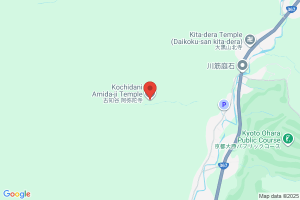 AmiDA