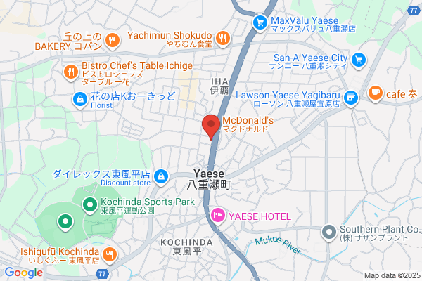 すき家 507号八重瀬店