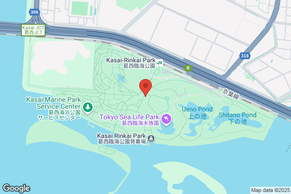 センチュリー21アドウィル高石羽衣店