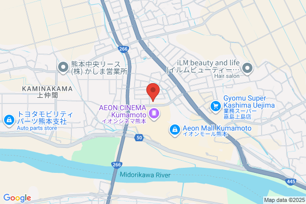 ディスカウントドラッグコスモス 熊本嘉島店