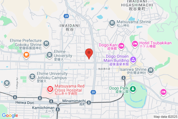 くすりのレデイ 道後緑台店