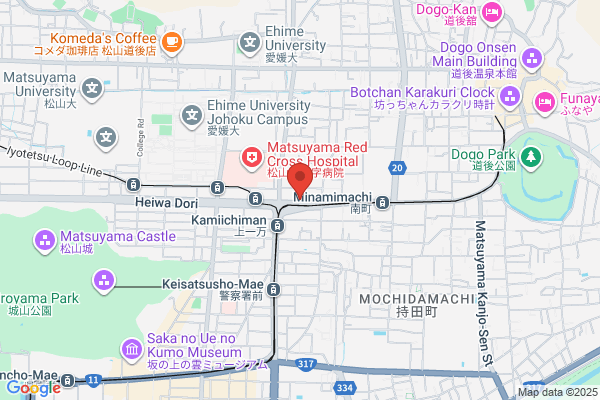 レデイ薬局 道後店