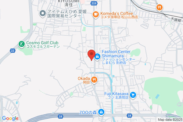 ディスカウントドラッグコスモス 松山別府店
