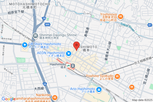 Hashimoto City Hotel