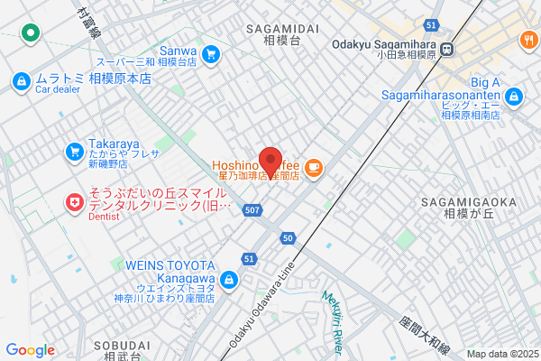 Sagami Process Inc.