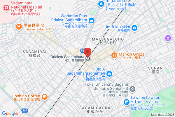 Bamiyan Odakyu Sagamihara-ten