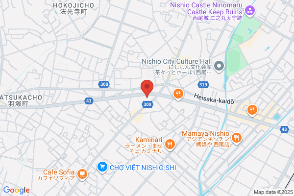 Nishio Denki