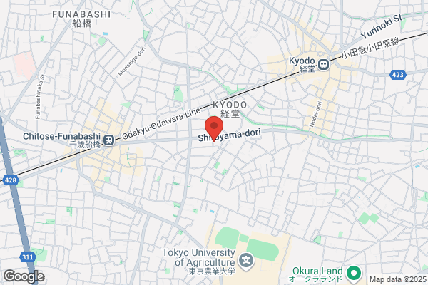 Tsuji Miki Flamenco & Ballet School
