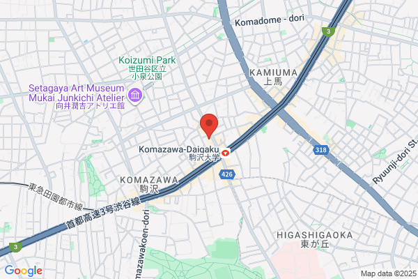 Komazawa Hospital
