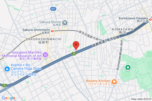 Tokyo Magnesystem Inc.