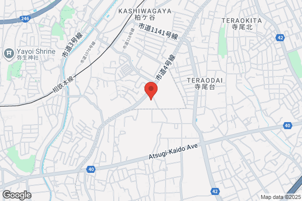 WONDER FLOWER イオンモール座間店 - 閉店