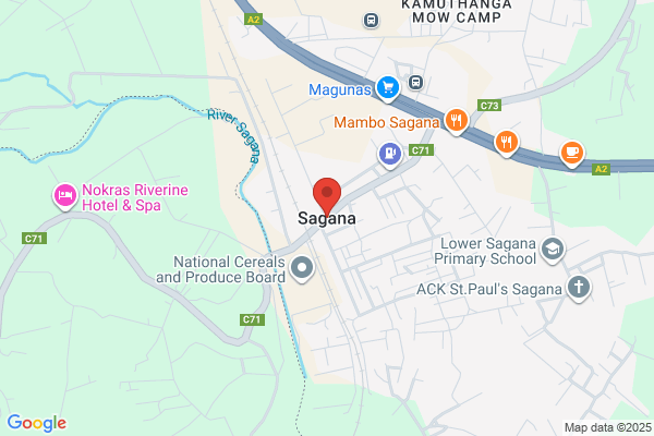 ヒーリングフォレストスクール 学園前スタジオ