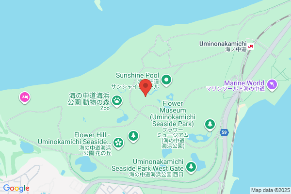 ツルハドラッグ 大岳店