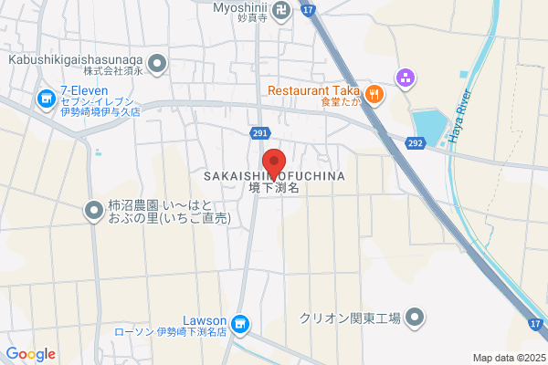 ゲオ伊勢崎南店