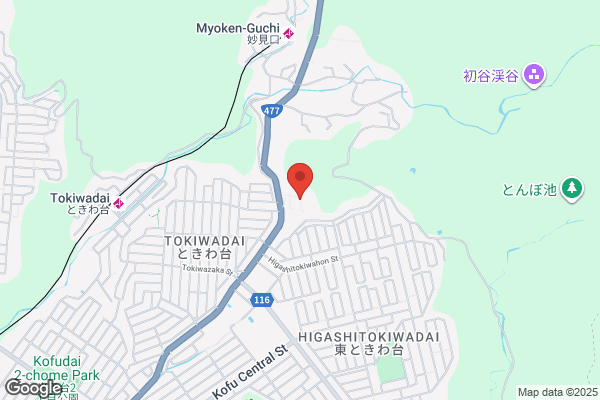 ウェルネス 桜谷店