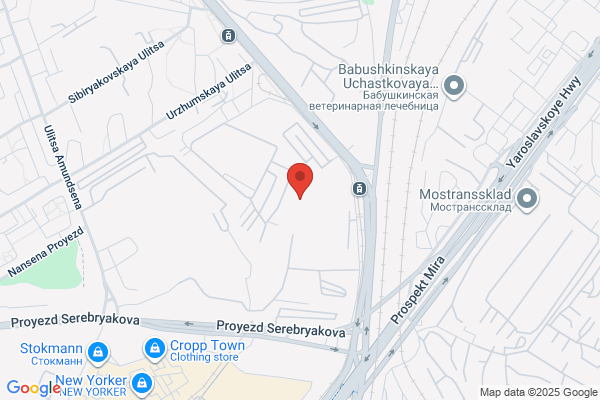からあげ、定食、丼 がブリチキン。ゆめタウン高松店