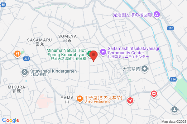 SKY de SKY