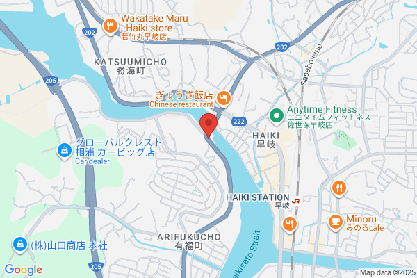Business Hotel Ryokan Shioneso