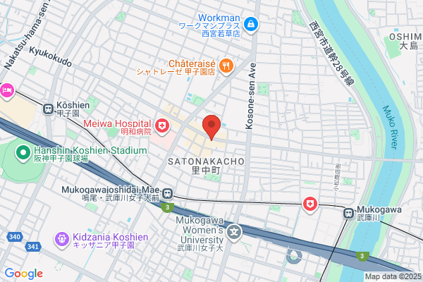 ゲオ鳴尾店