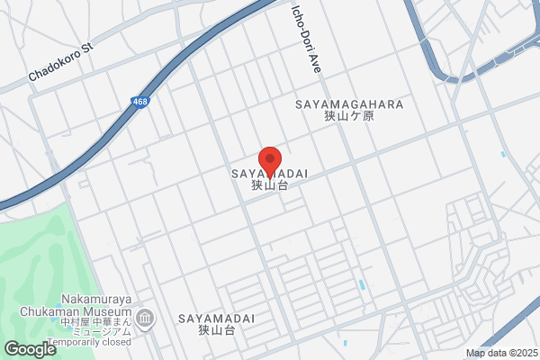 ウエルシア入間野田店 (調剤薬局)